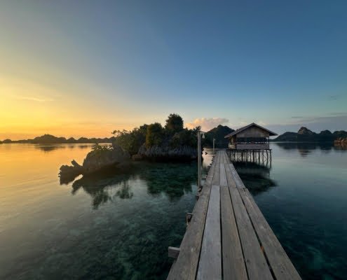 eazycation-yapap-honestay-raja ampat