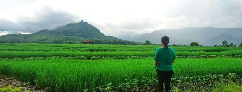 eazycation brebes