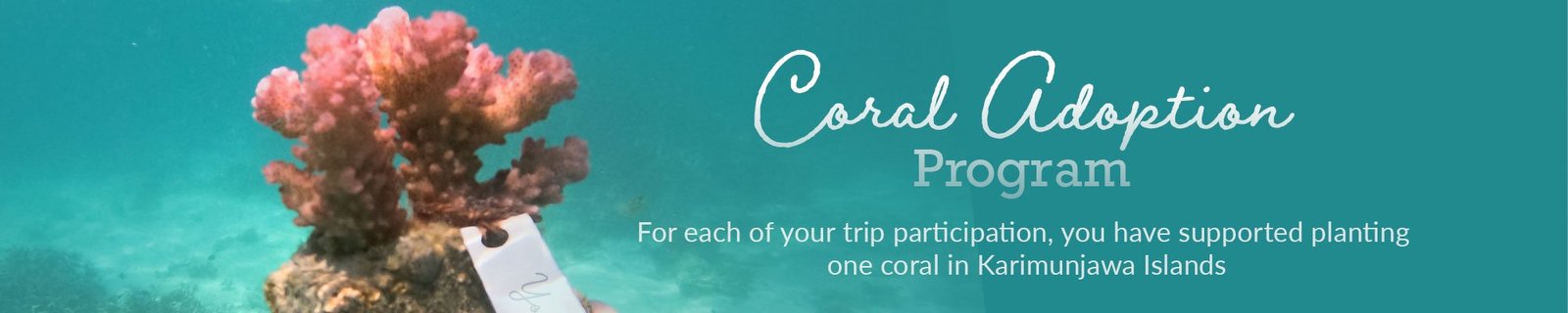eazycation coral adoption