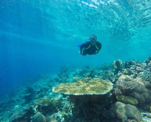 Eazycation-Derawan Eazycation-Derawan