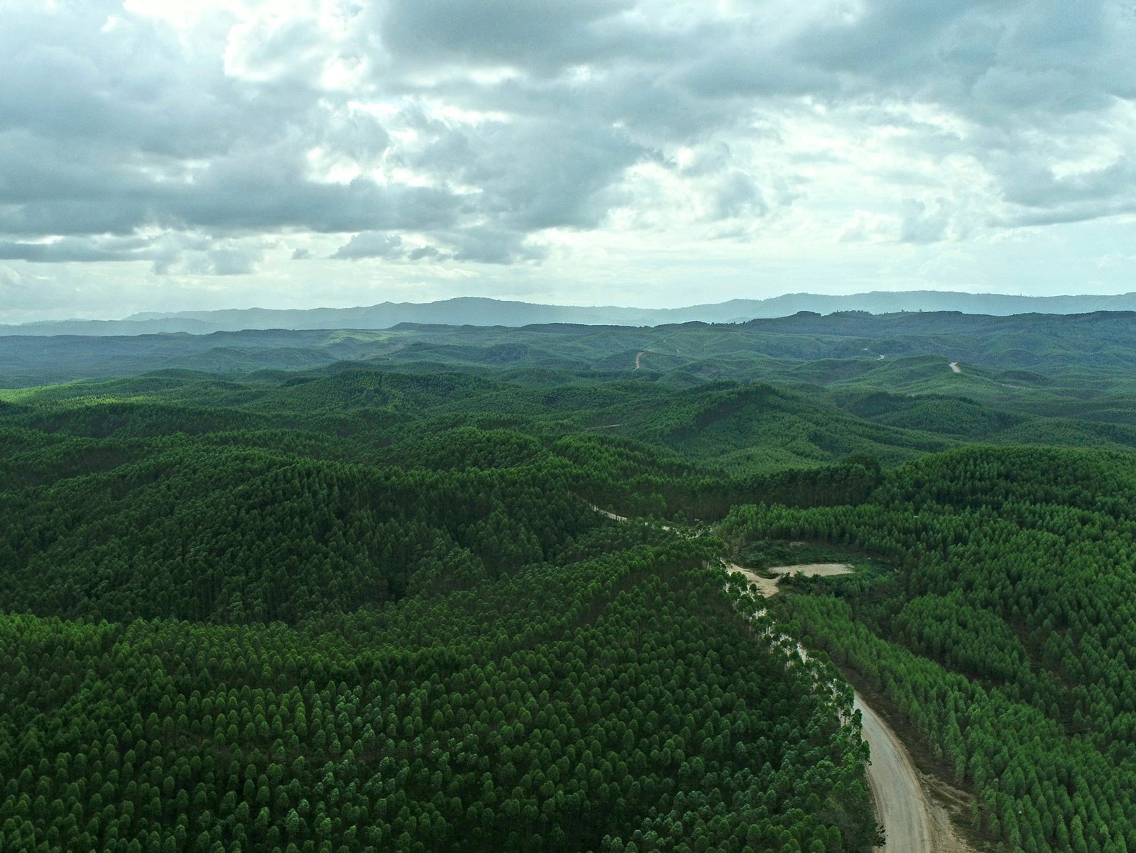 Kalimantan
